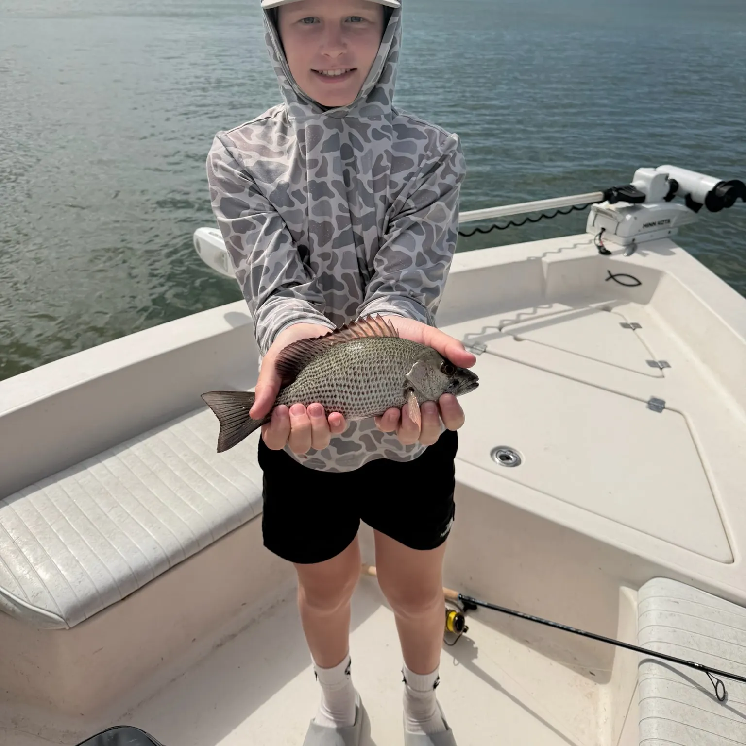 The most recent Mangrove snapper catches on Fishbrain