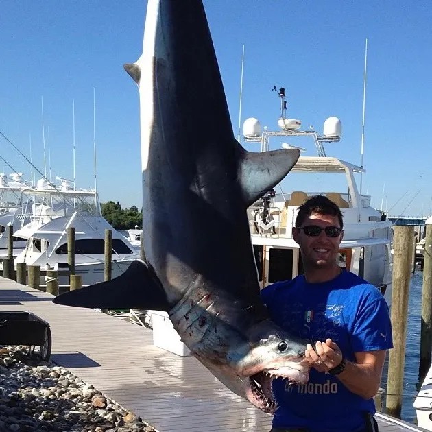 The most recent Shortfin mako shark catches on Fishbrain