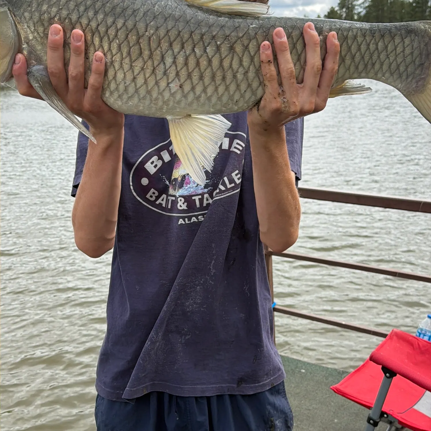 Grass carp caught on Fishbrain