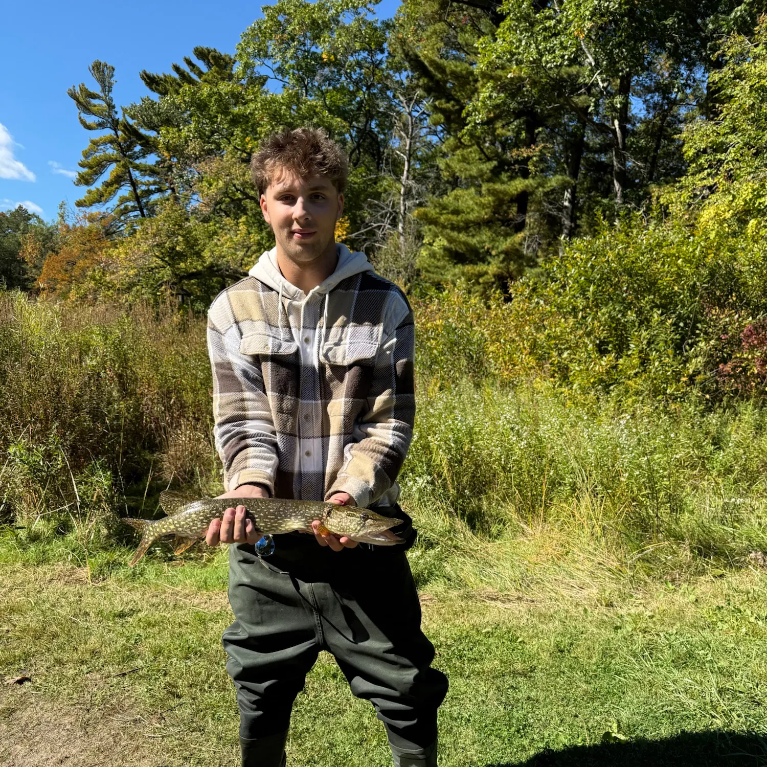 Northern pike caught on Fishbrain