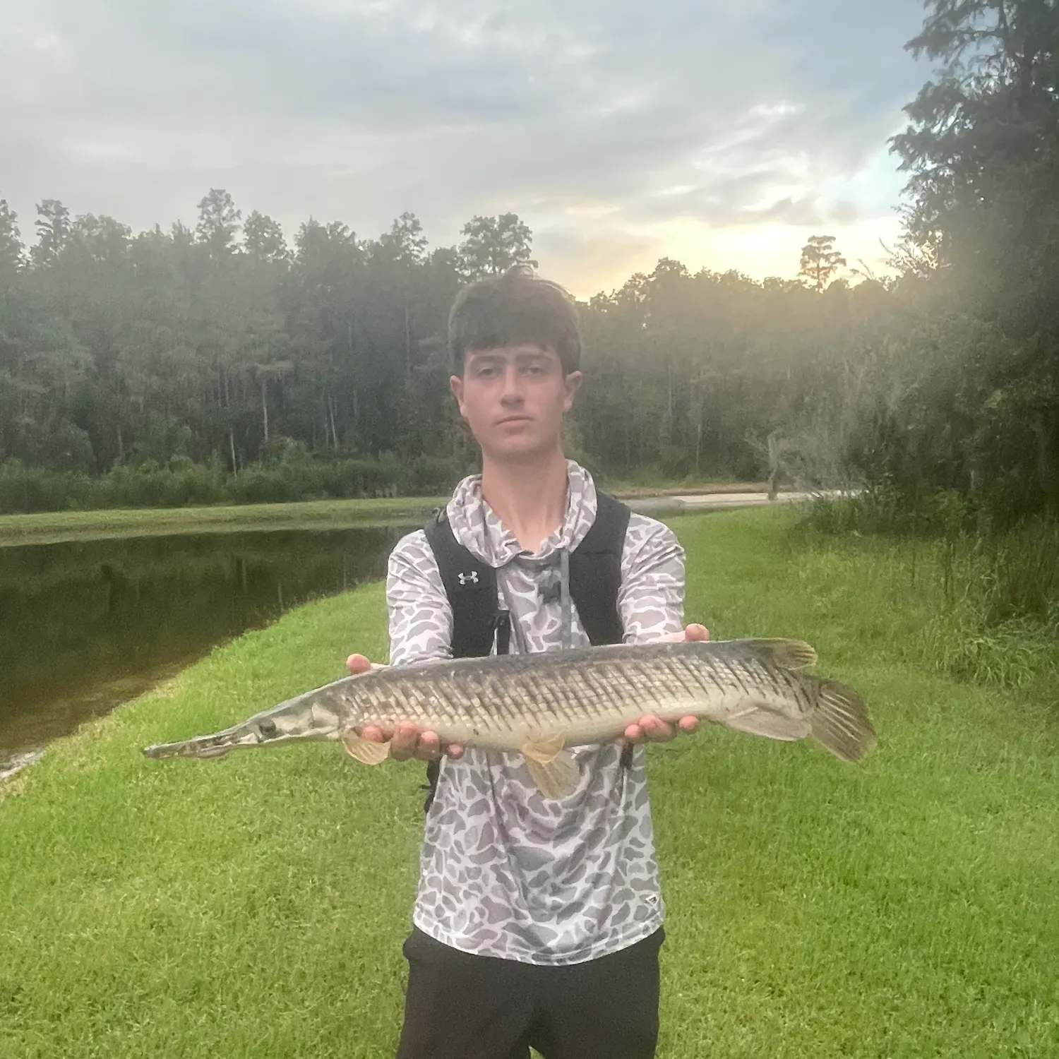 The most recent Florida gar catches on Fishbrain