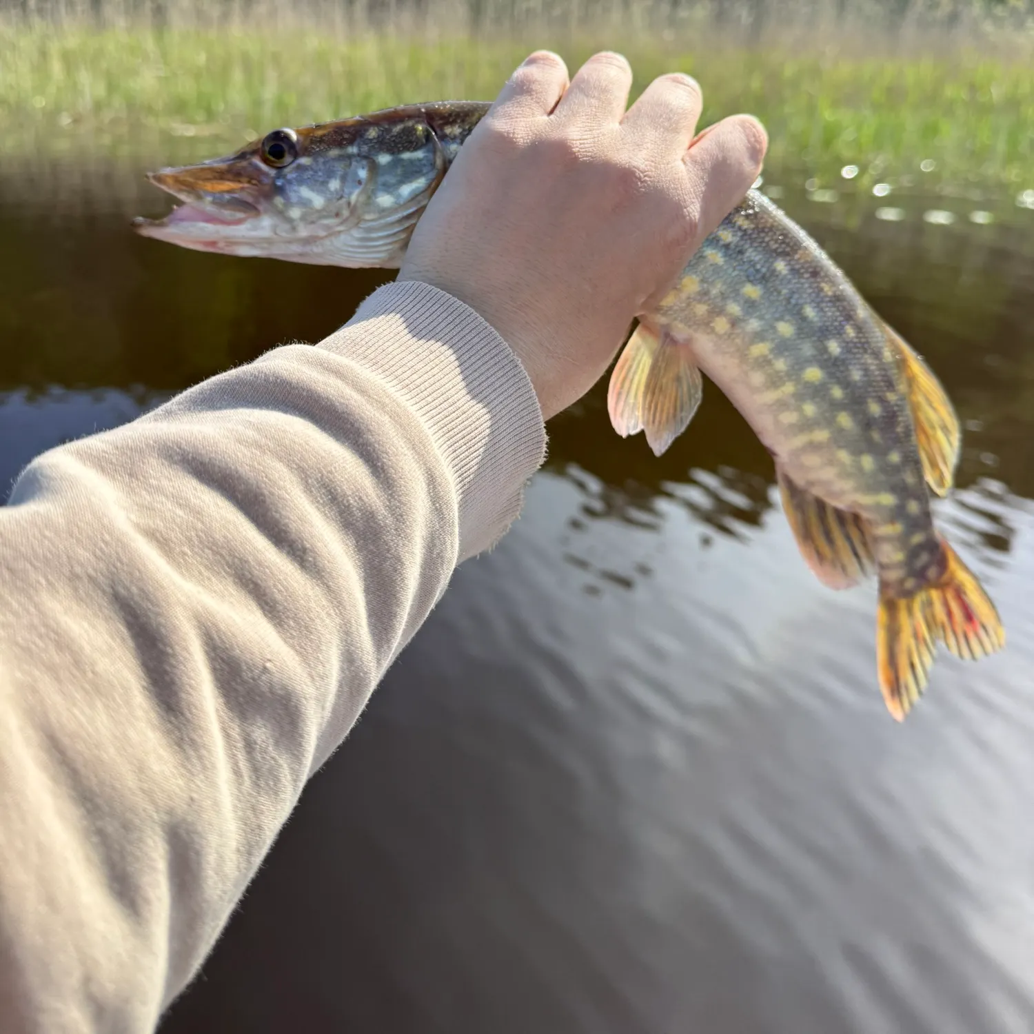catch
