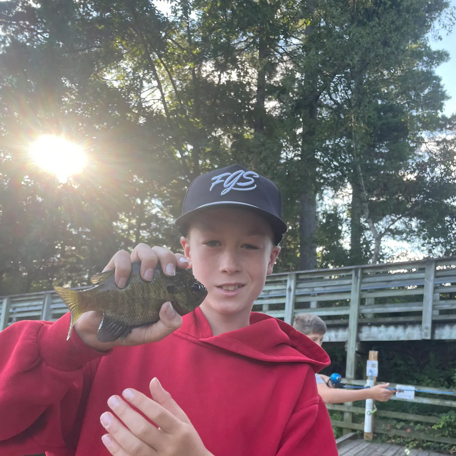Bluegill caught on Fishbrain