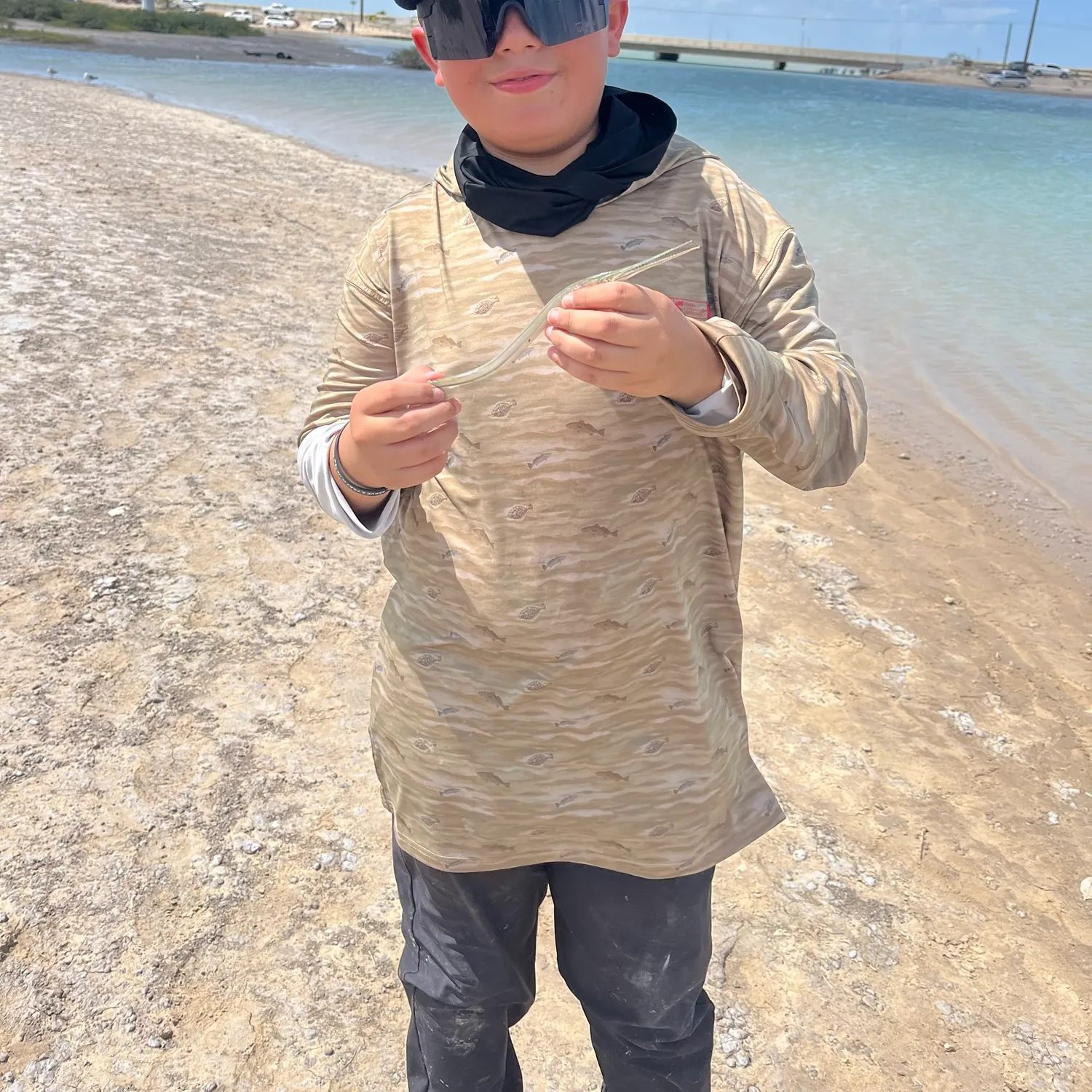 The most recent Short-tailed pipefish catches on Fishbrain