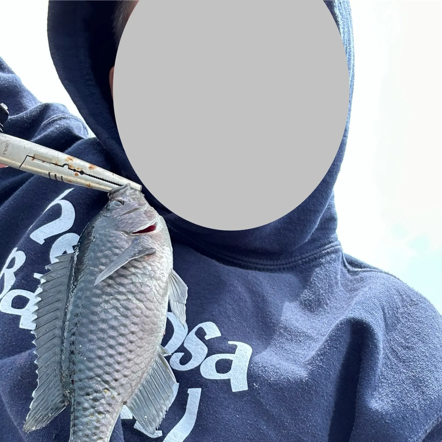 The most recent Blacksmith catches on Fishbrain