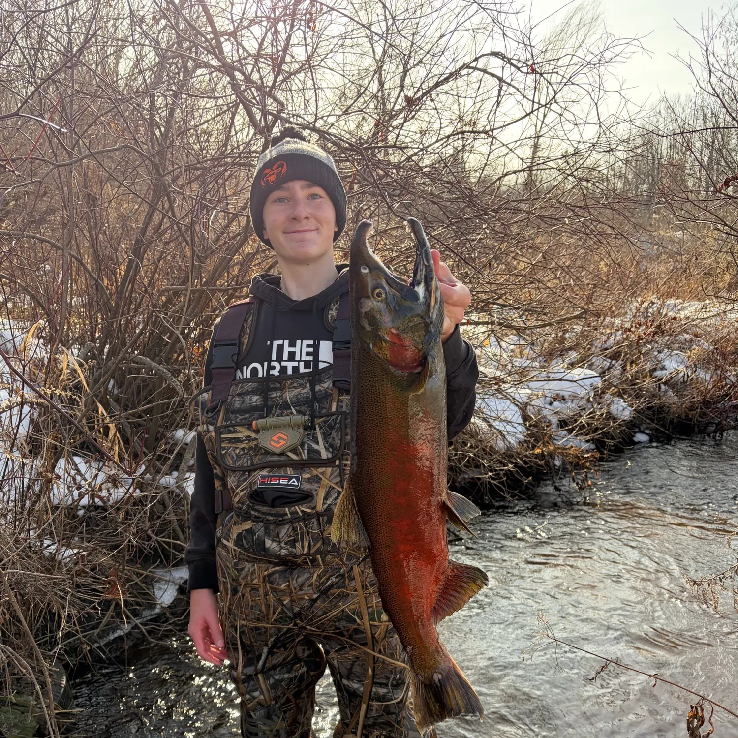 The most recent Coho salmon catches on Fishbrain