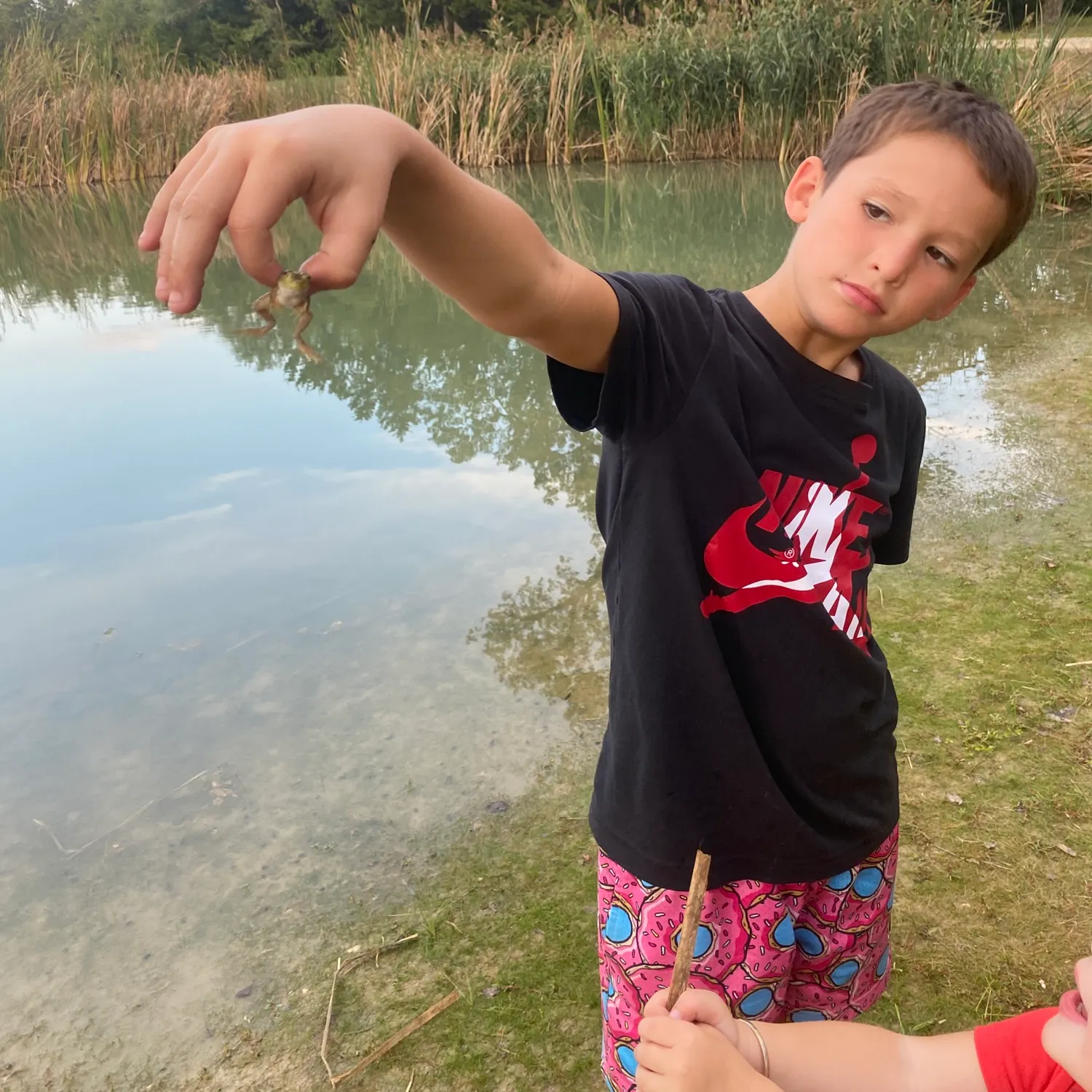 American bullfrog caught on Fishbrain