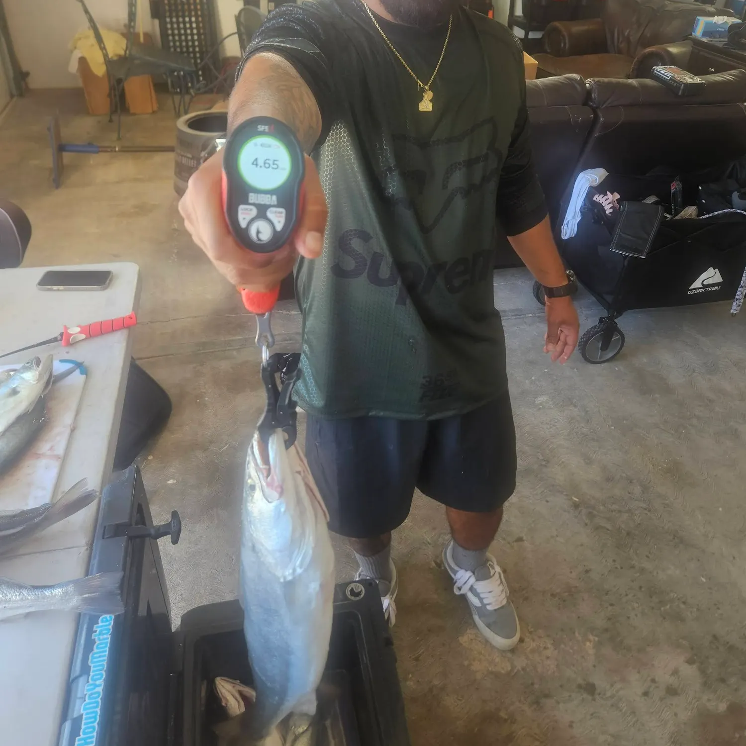 recently logged catches