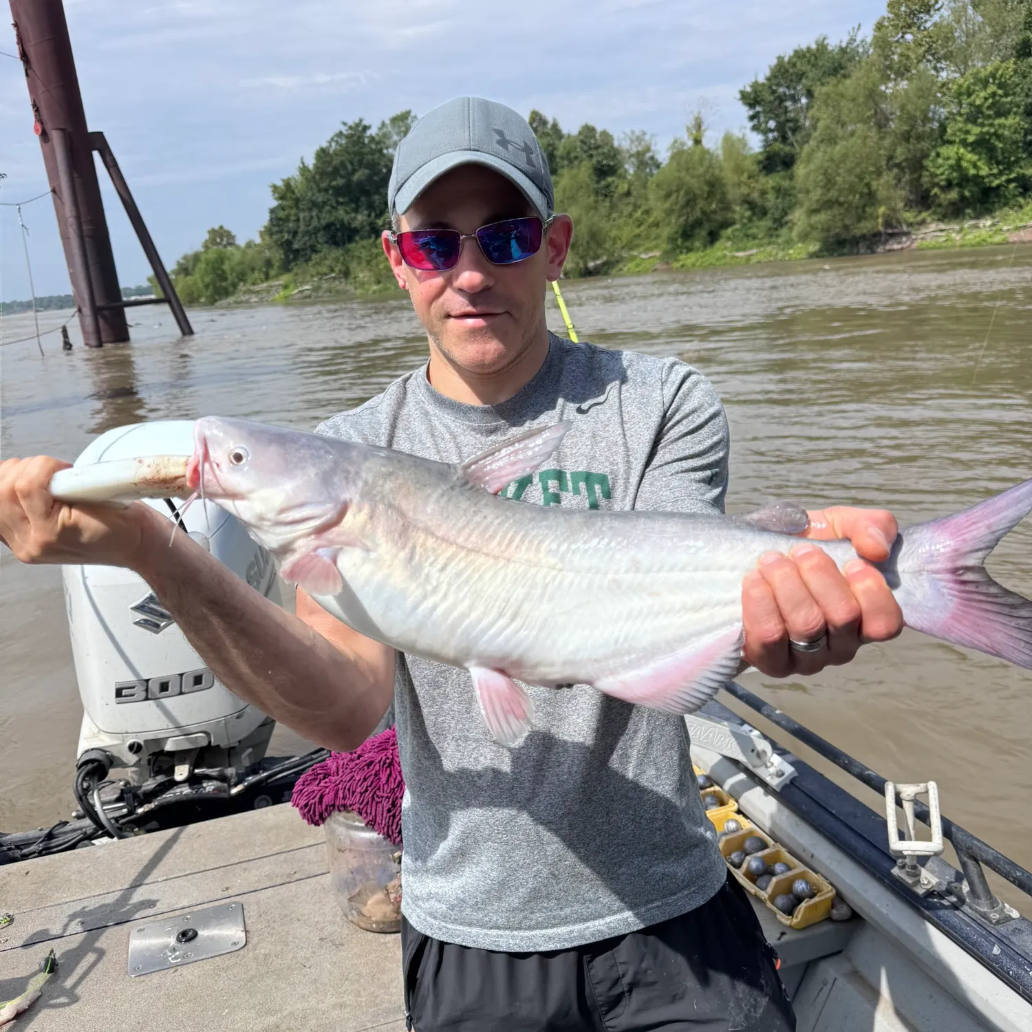 Blue catfish caught on Fishbrain