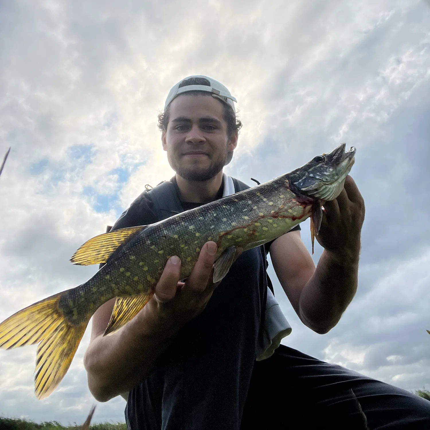 The most recent Northern pike catches on Fishbrain