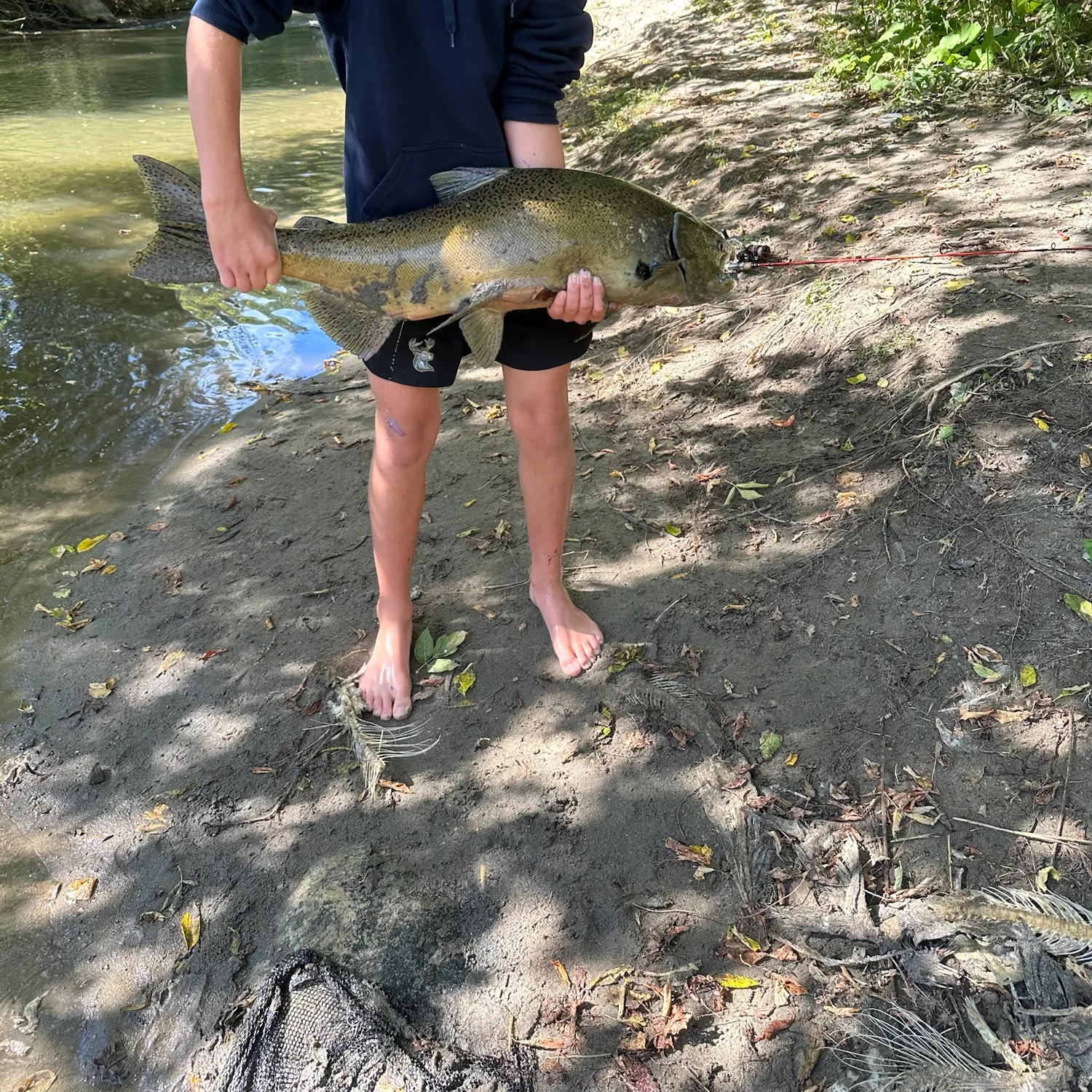 Chinook salmon caught on Fishbrain
