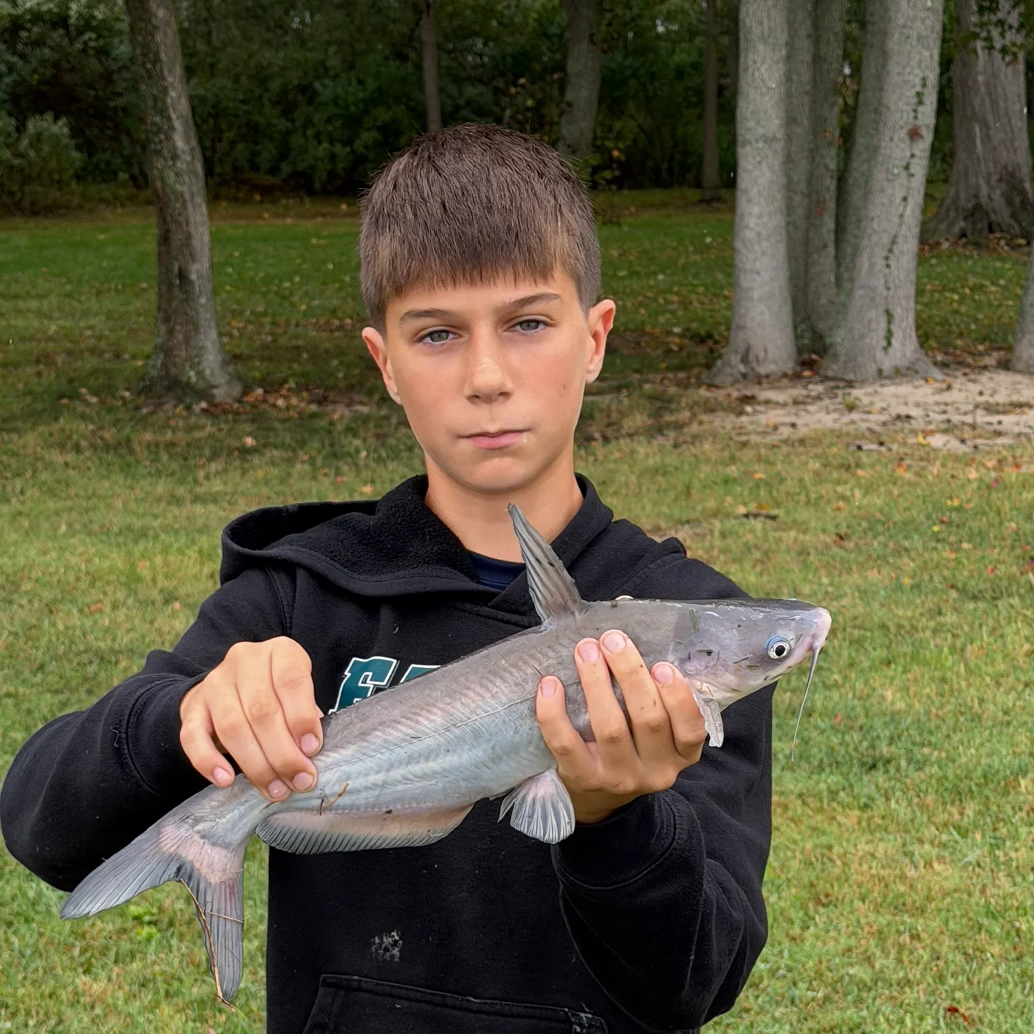 Blue catfish caught on Fishbrain