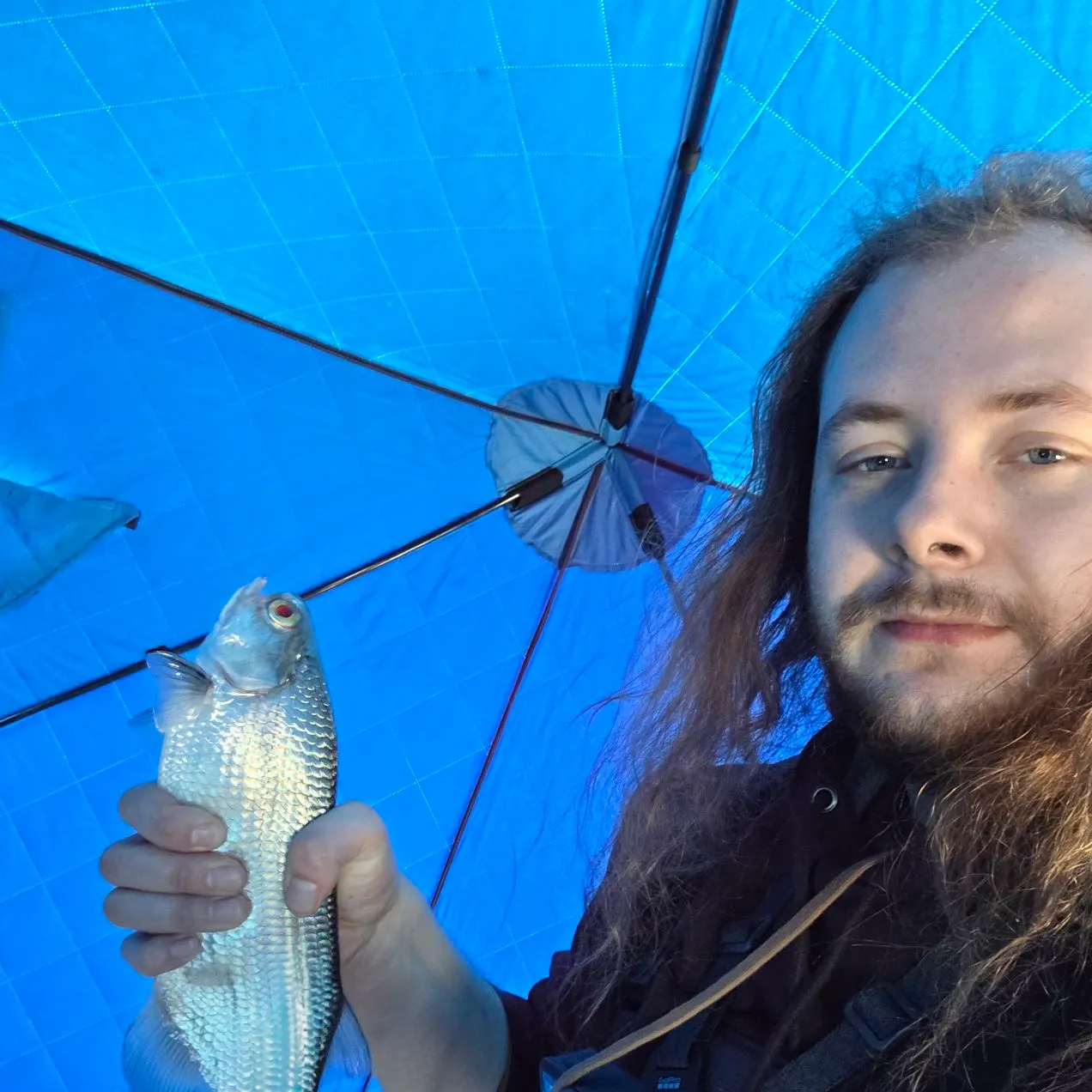 The most recent Goldeye catches on Fishbrain