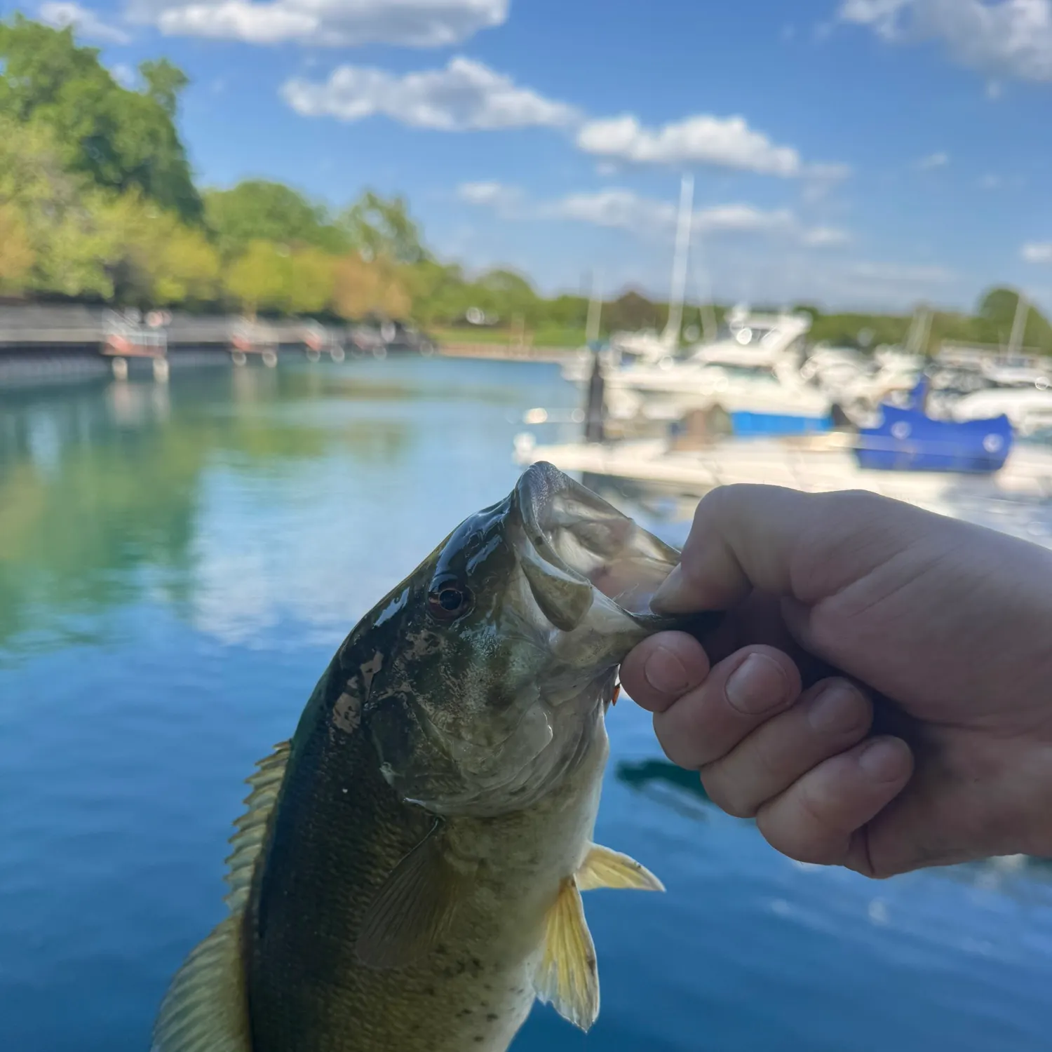 catch