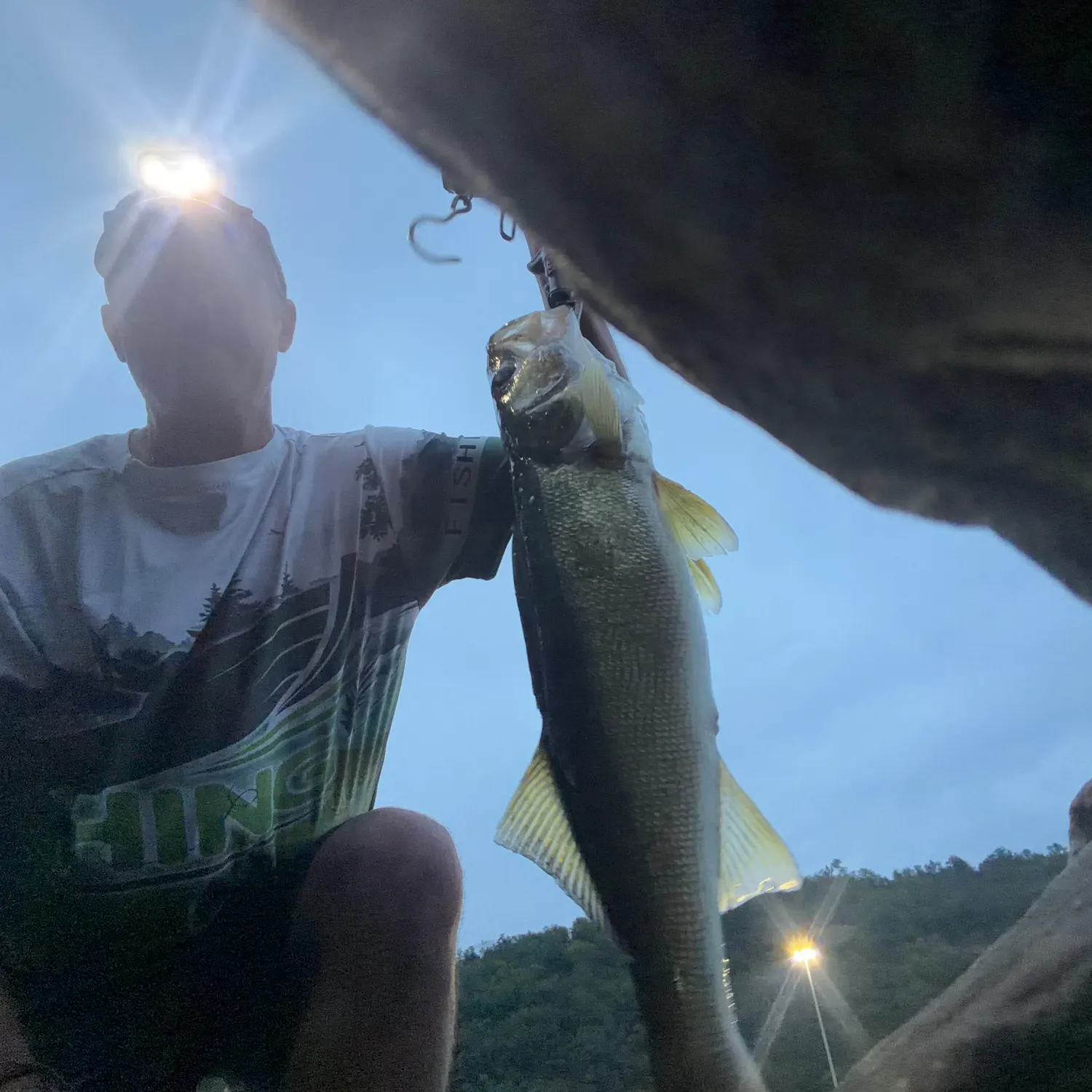 Walleye caught on Fishbrain