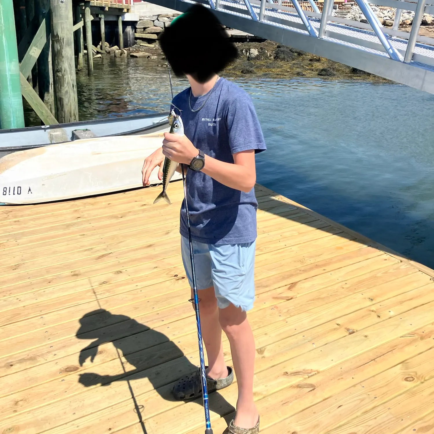 The most recent Atlantic mackerel catches on Fishbrain