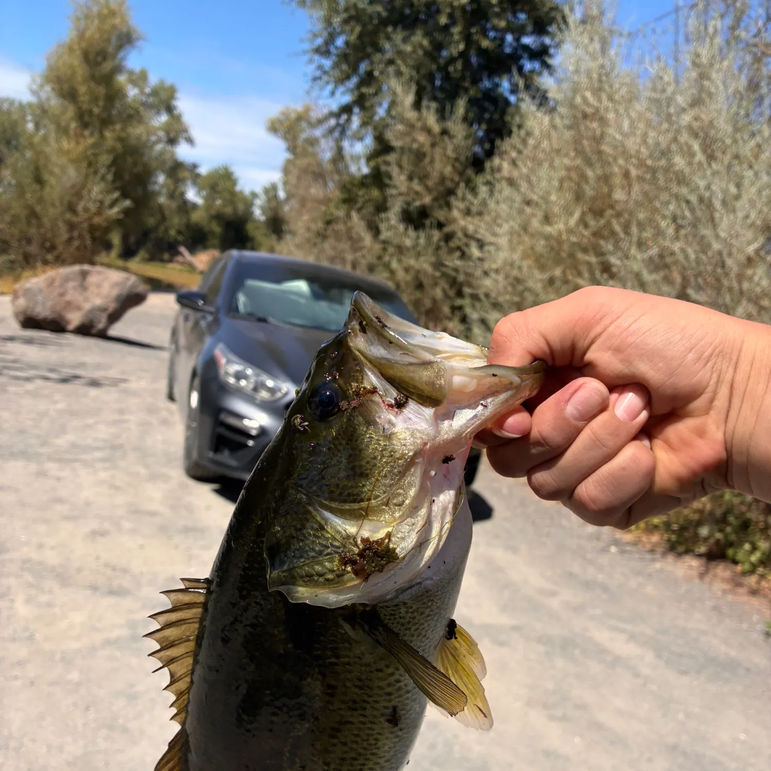 catch
