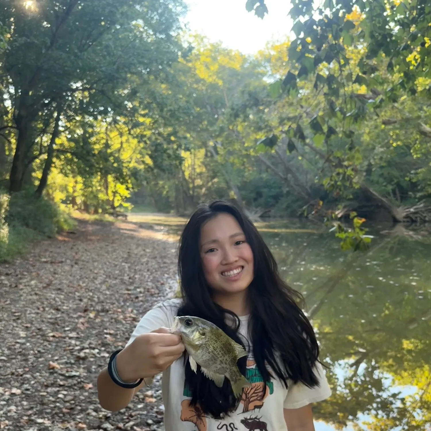 Rock bass caught on Fishbrain