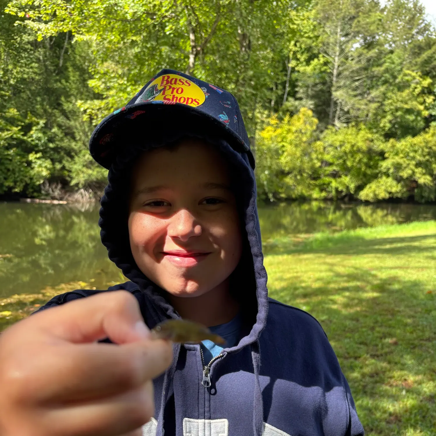Green sunfish caught on Fishbrain