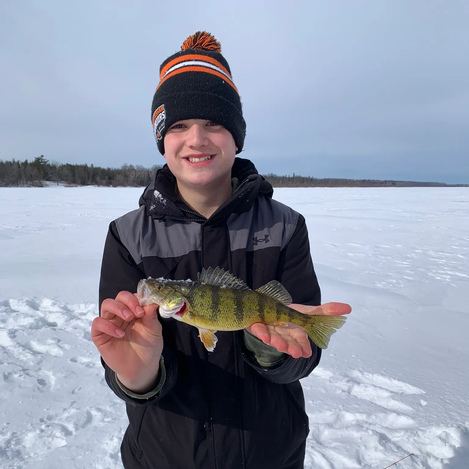 The most recent Yellow perch catches on Fishbrain