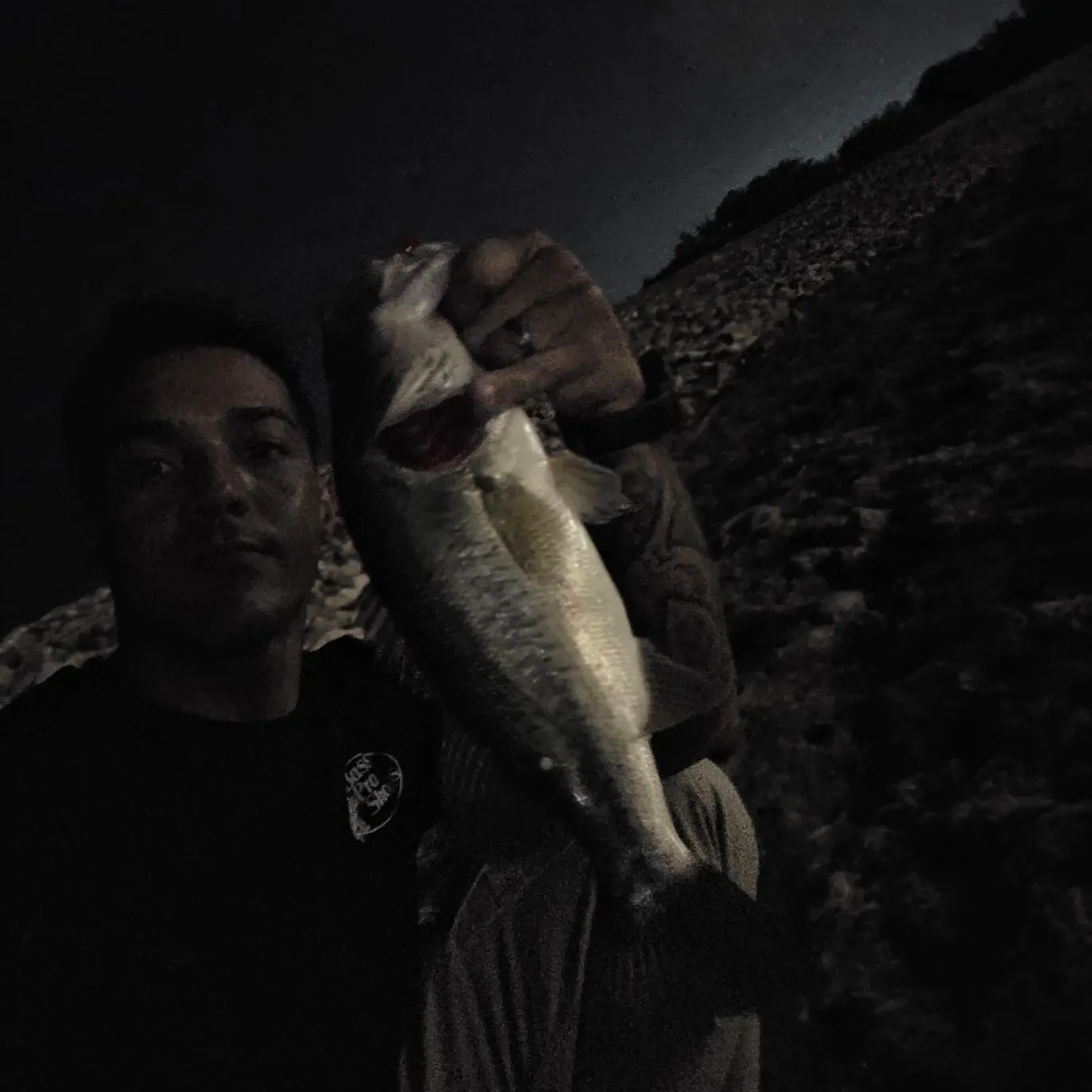 The most recent Largemouth bass catches on Fishbrain