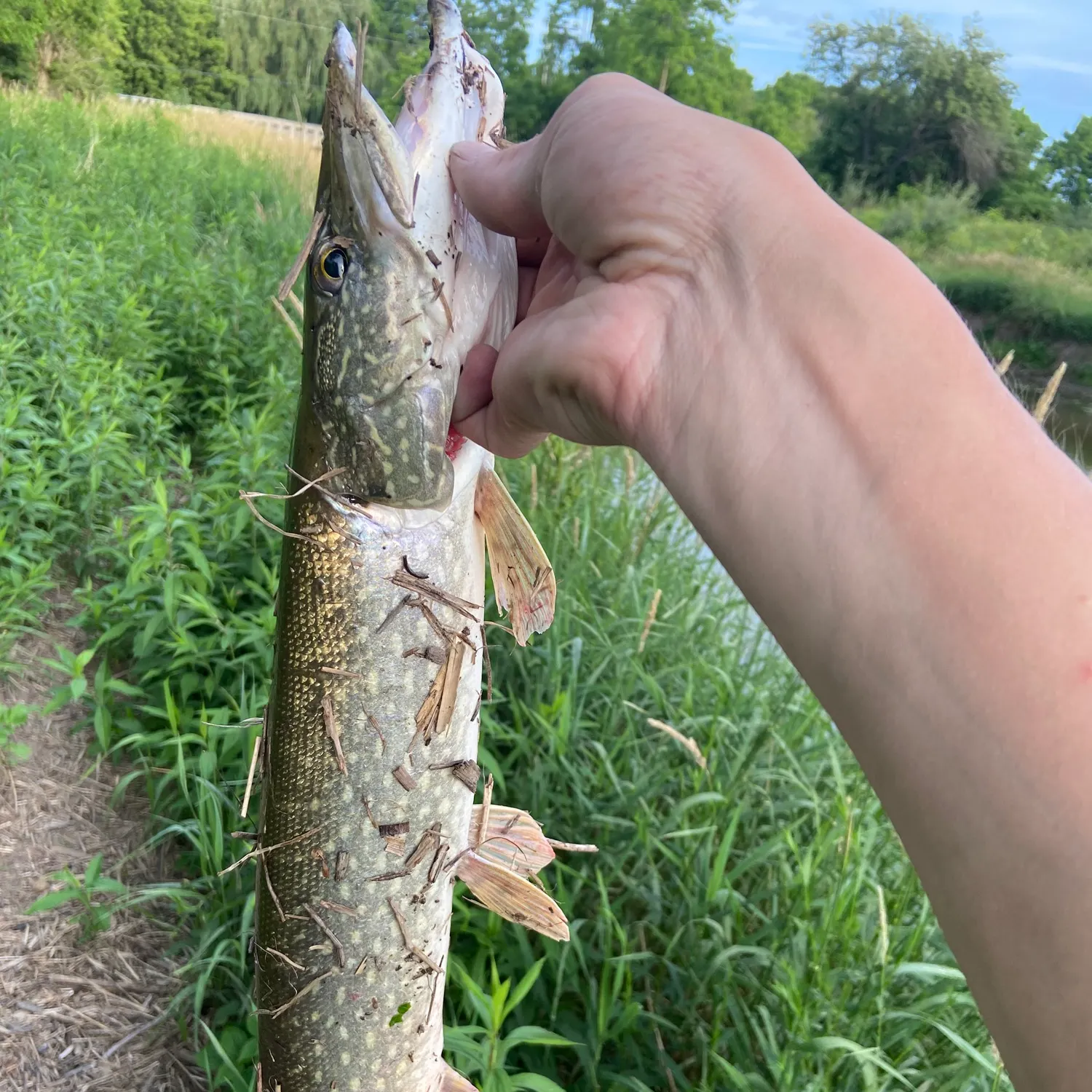 catch