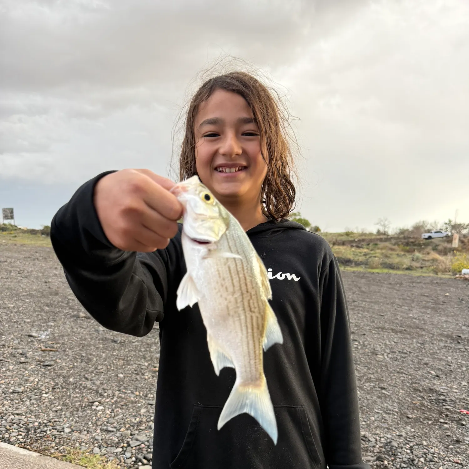 White bass caught on Fishbrain