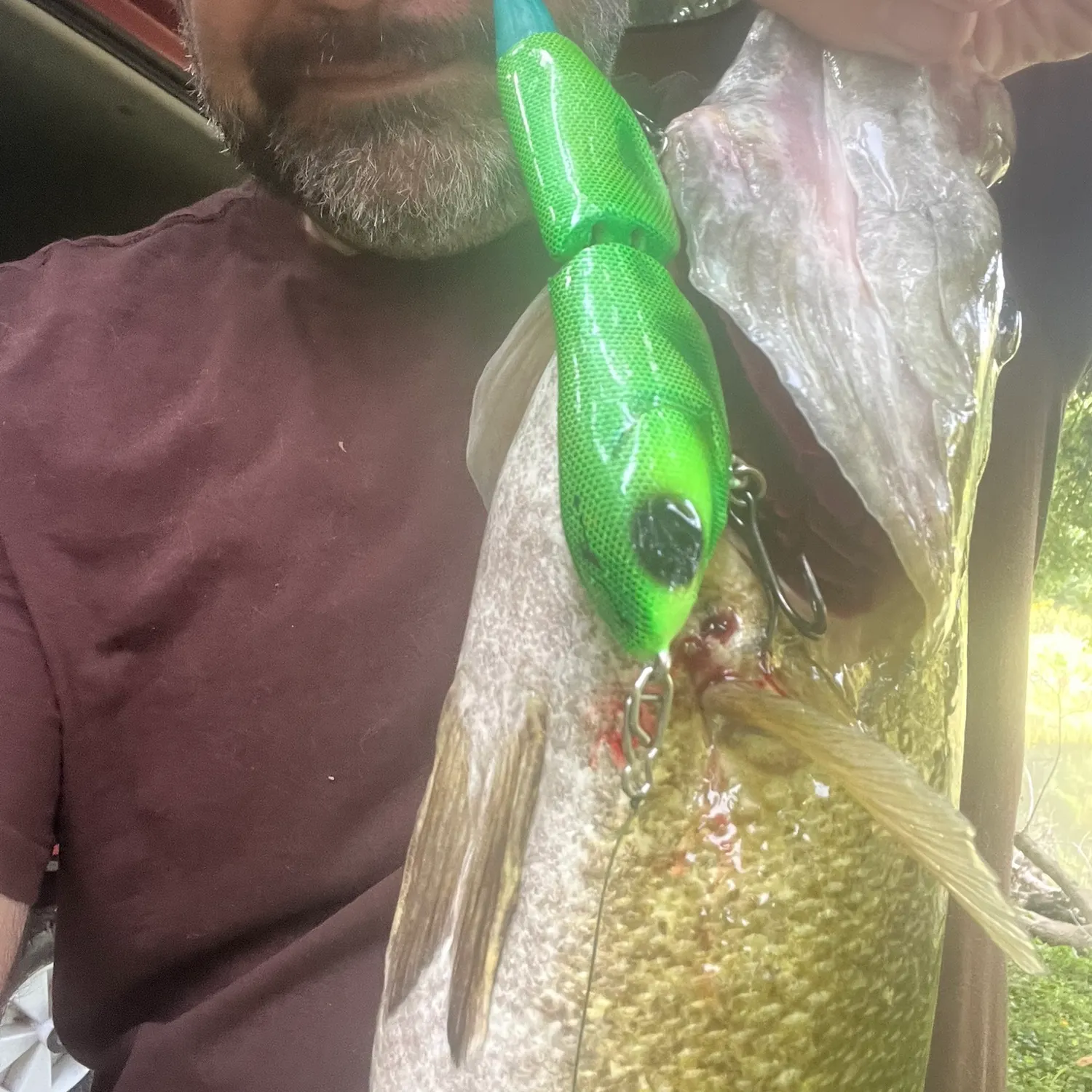 Smallmouth bass caught on Fishbrain