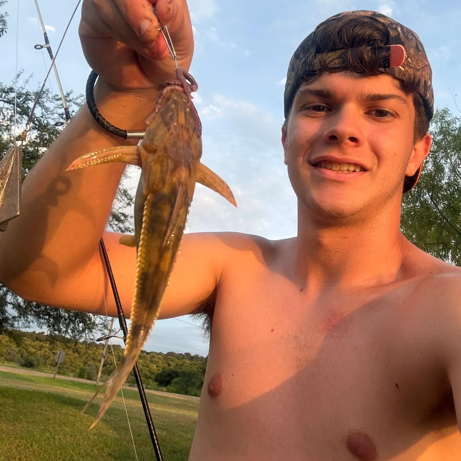 The most recent Granulated catfish catches on Fishbrain