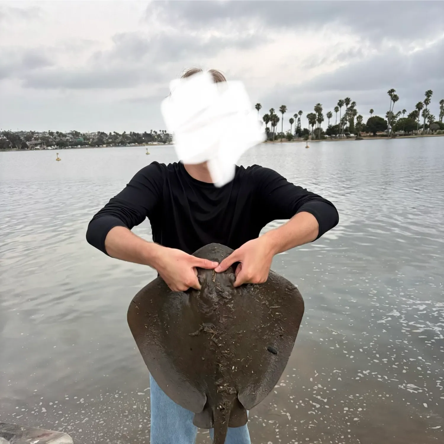The most recent Diamond stingray catches on Fishbrain