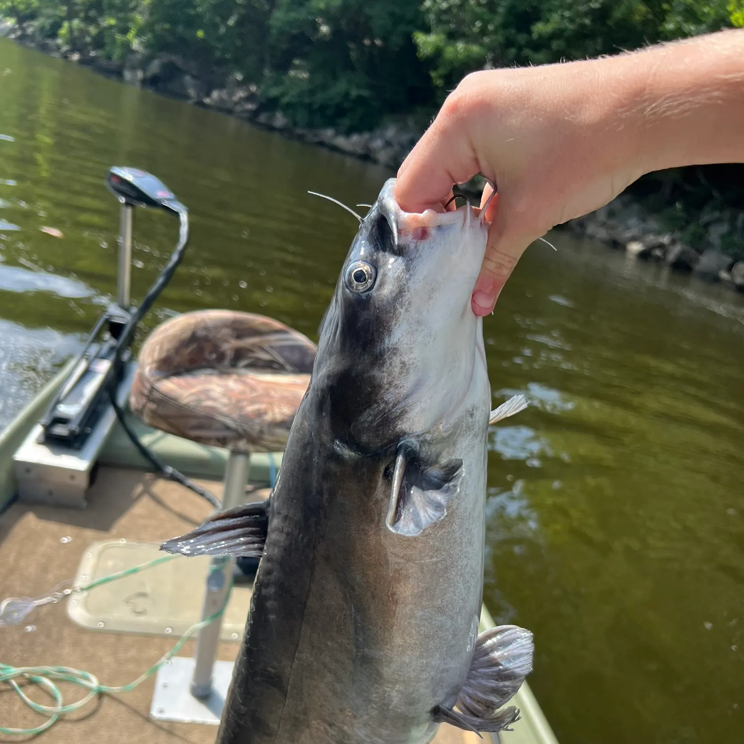 catch