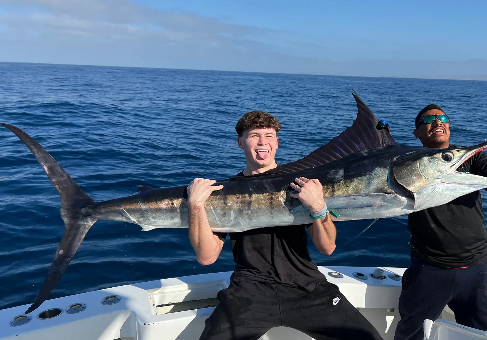 Striped marlin