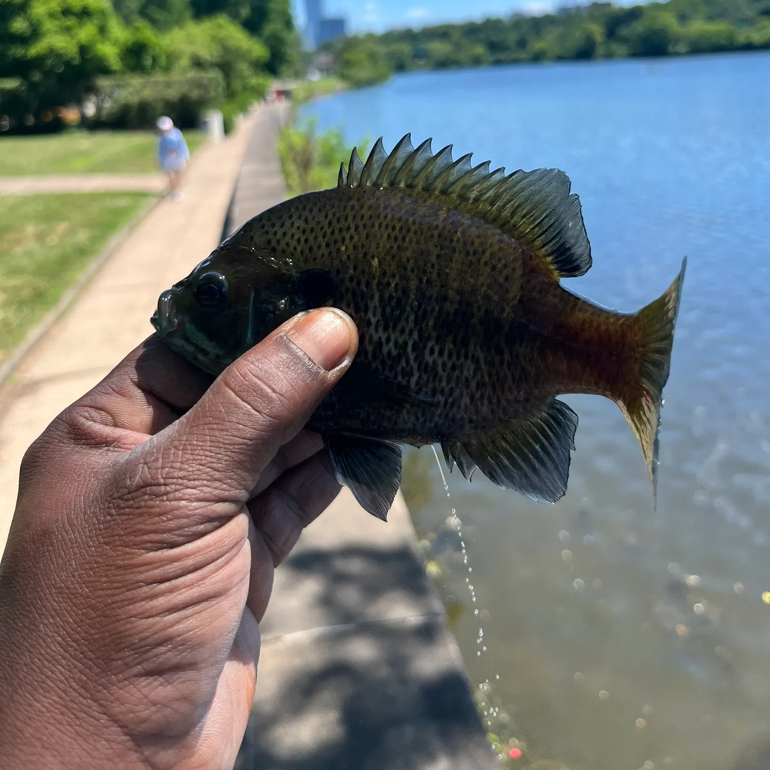 catch