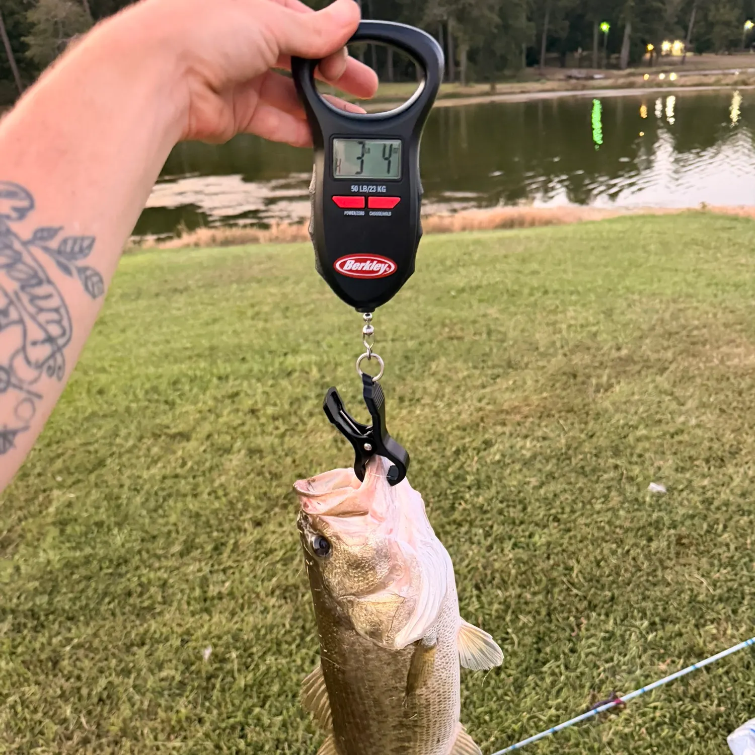 Largemouth bass caught on Fishbrain