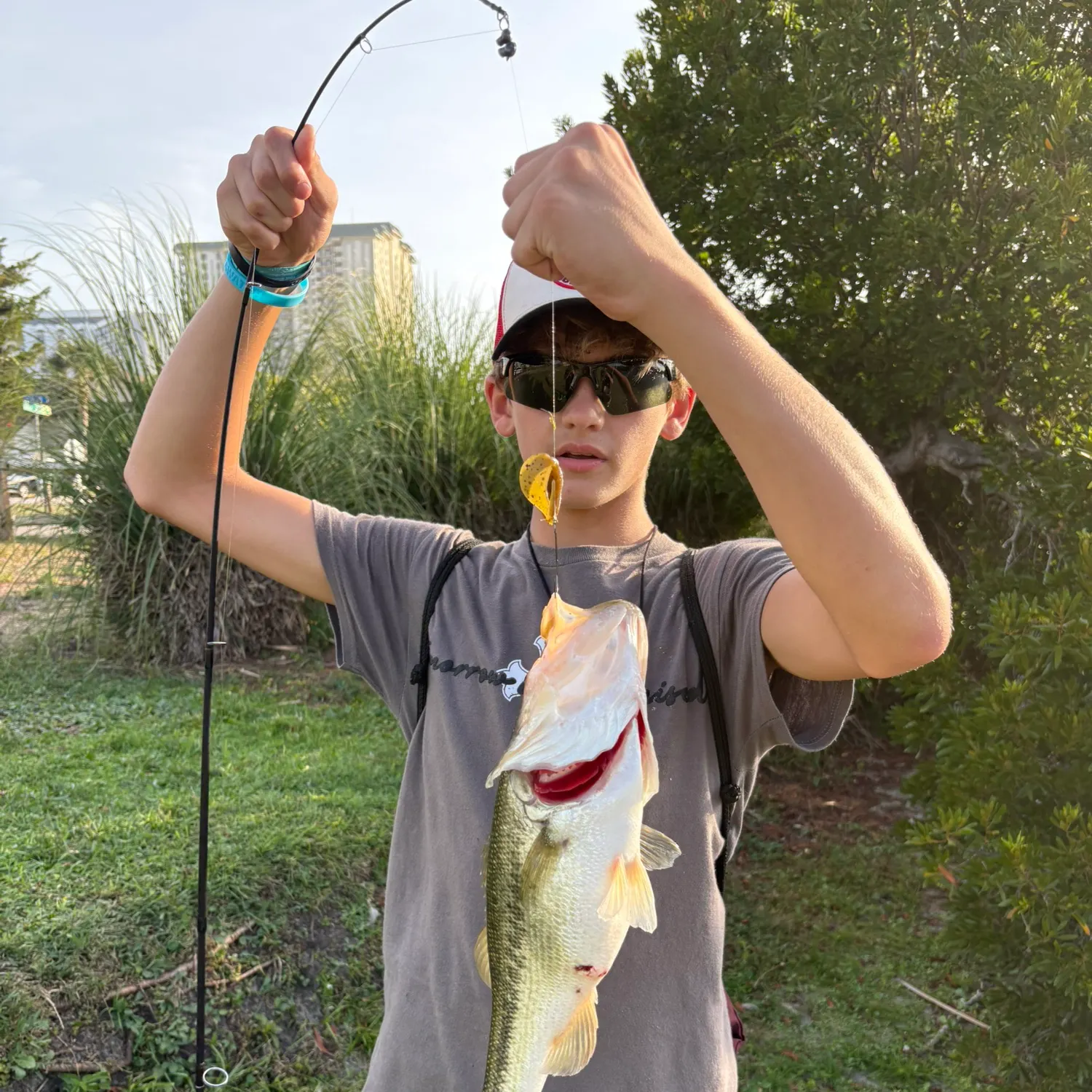 Largemouth bass caught on Fishbrain