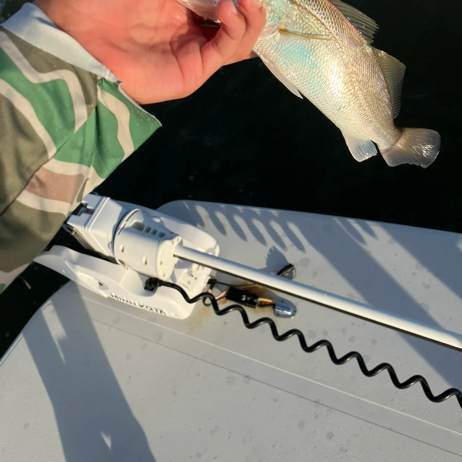 The most recent Sand seatrout catches on Fishbrain