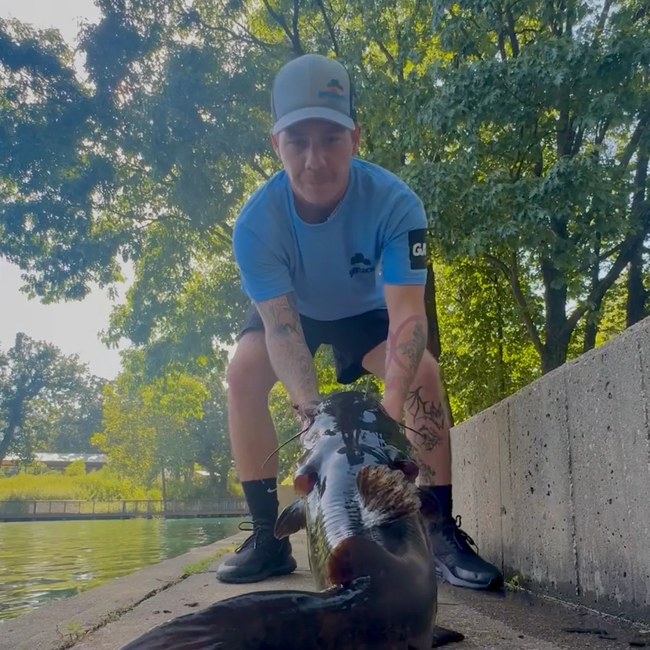 Flathead catfish caught on Fishbrain