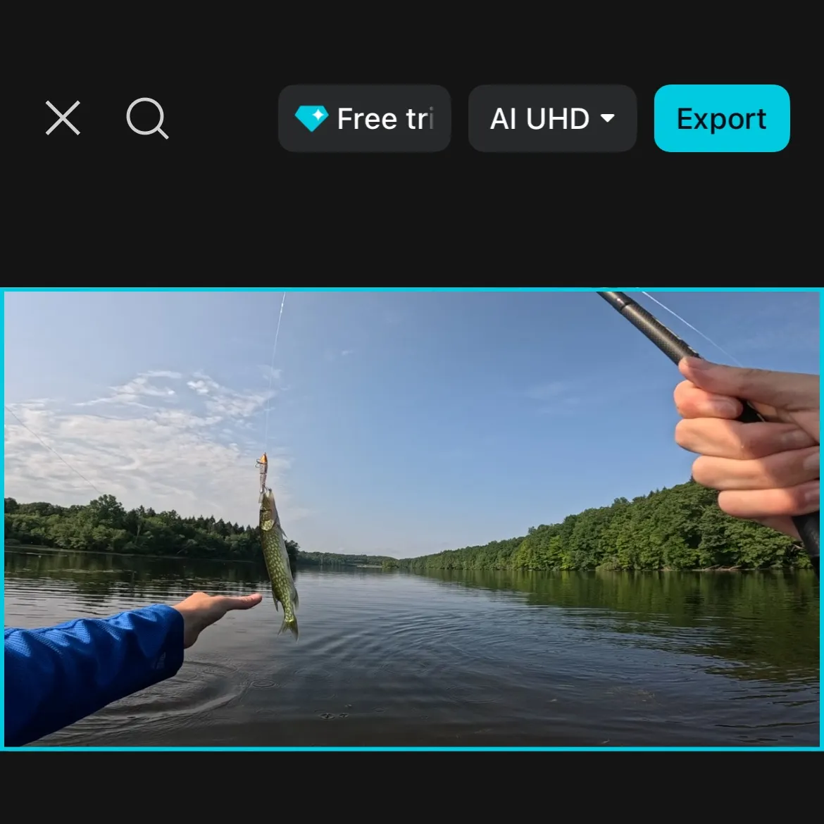 The most recent Chain pickerel catches on Fishbrain