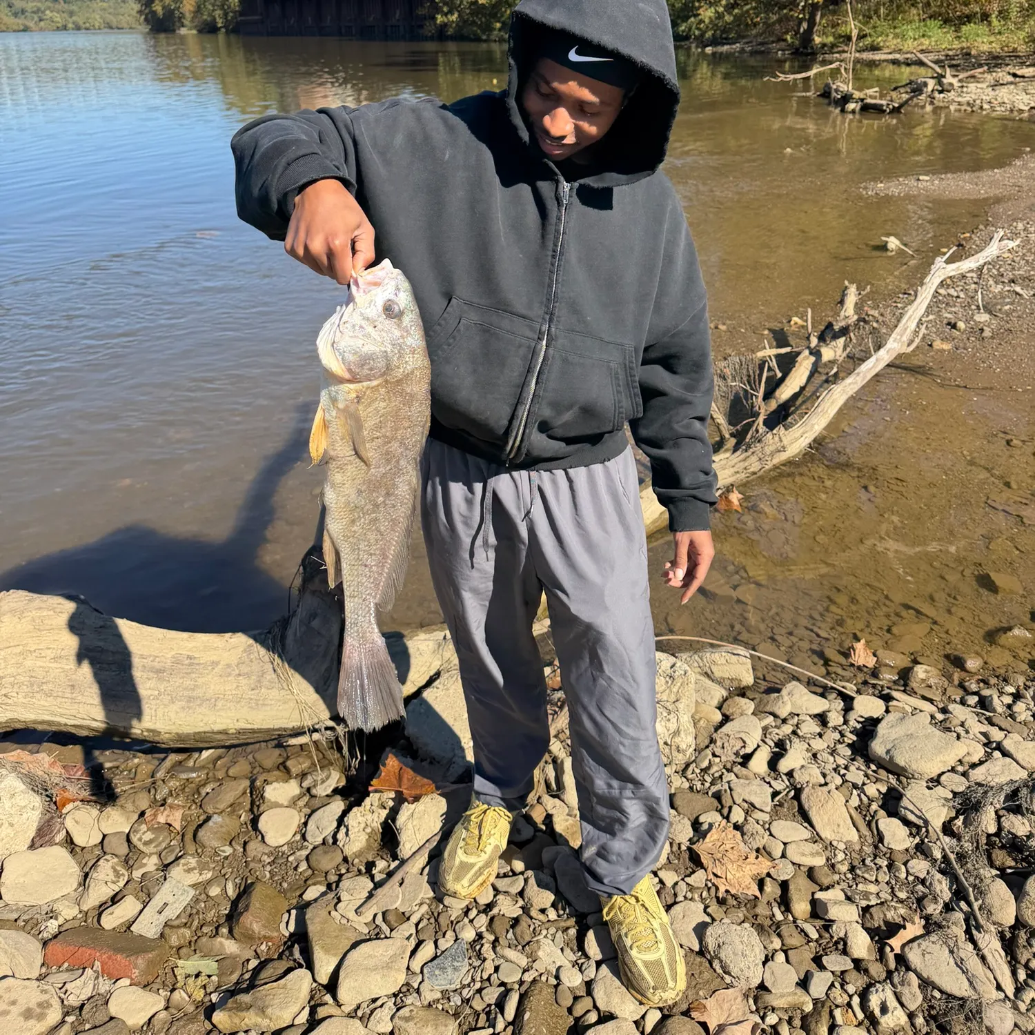 Freshwater drum caught on Fishbrain