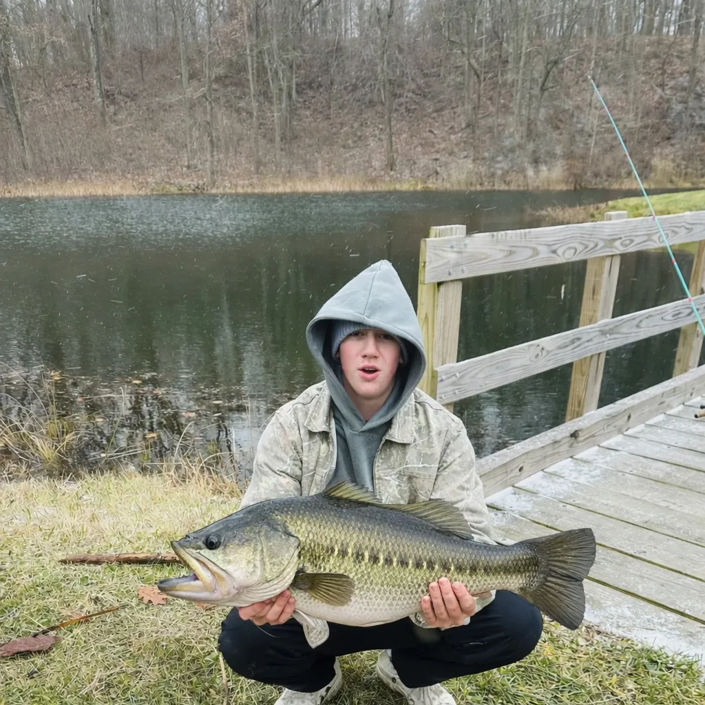 The most recent Silvertip shark catches on Fishbrain