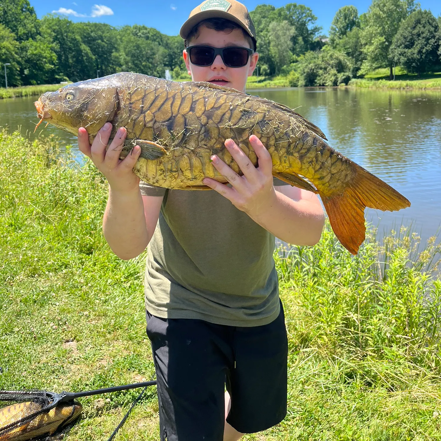 The most recent Mirror carp catches on Fishbrain
