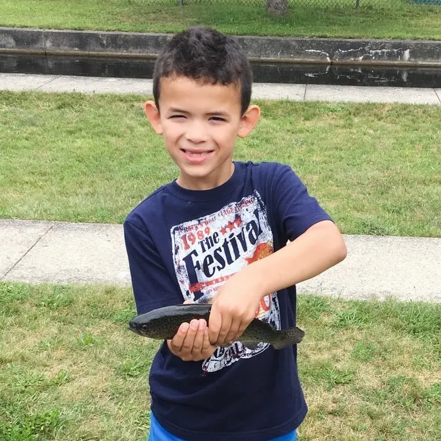Rainbow trout caught on Fishbrain