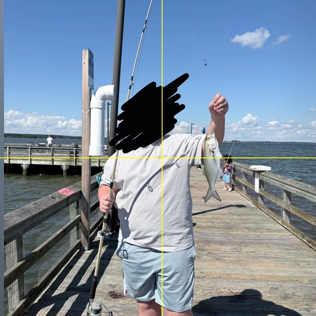 Bluefish caught on Fishbrain
