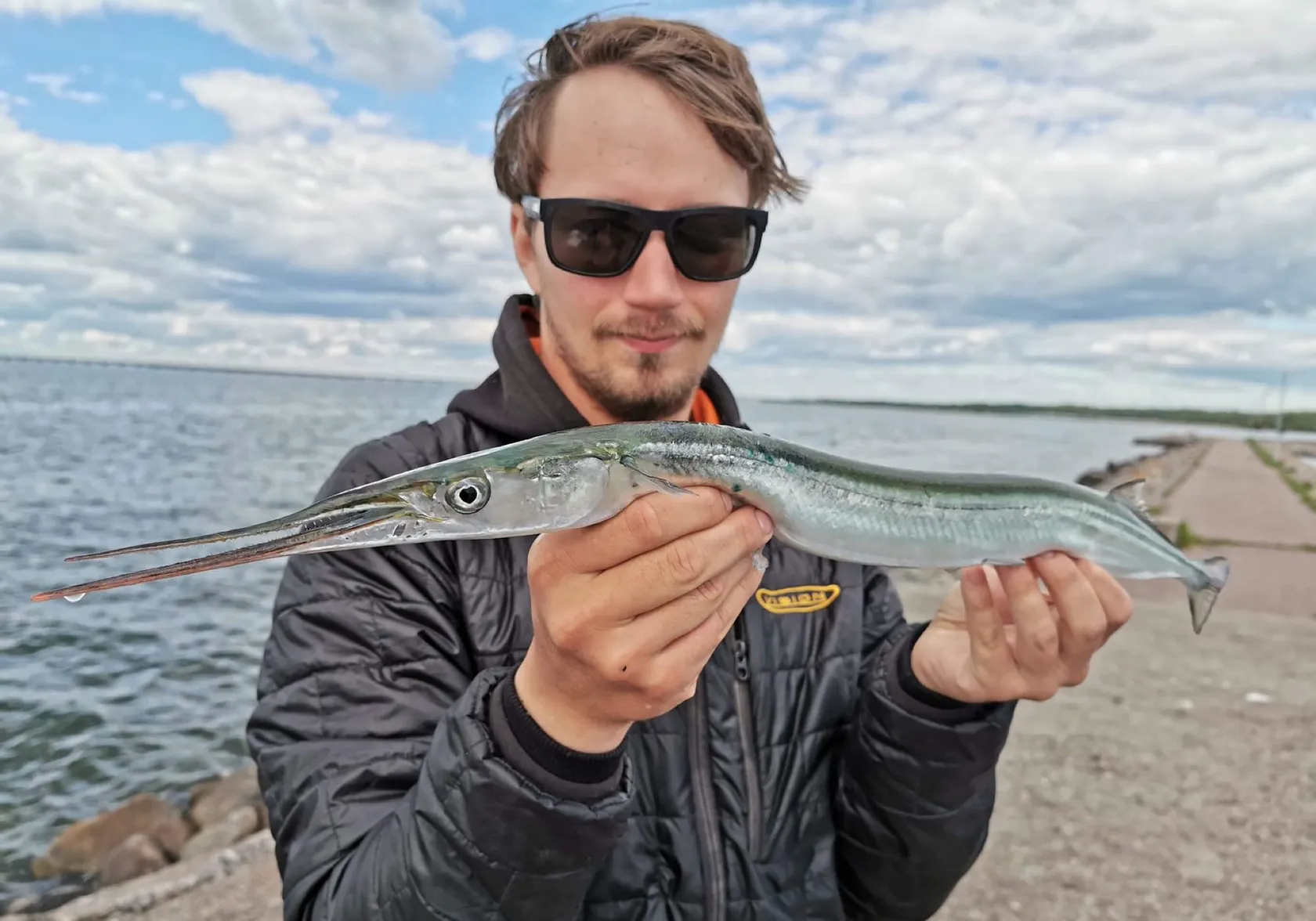 European garfish