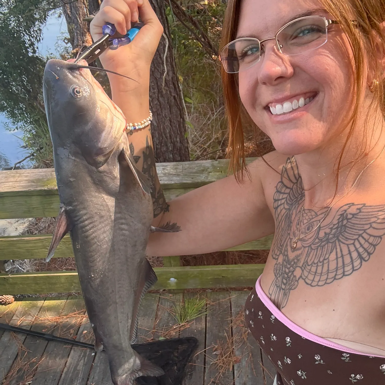 Blue catfish caught on Fishbrain