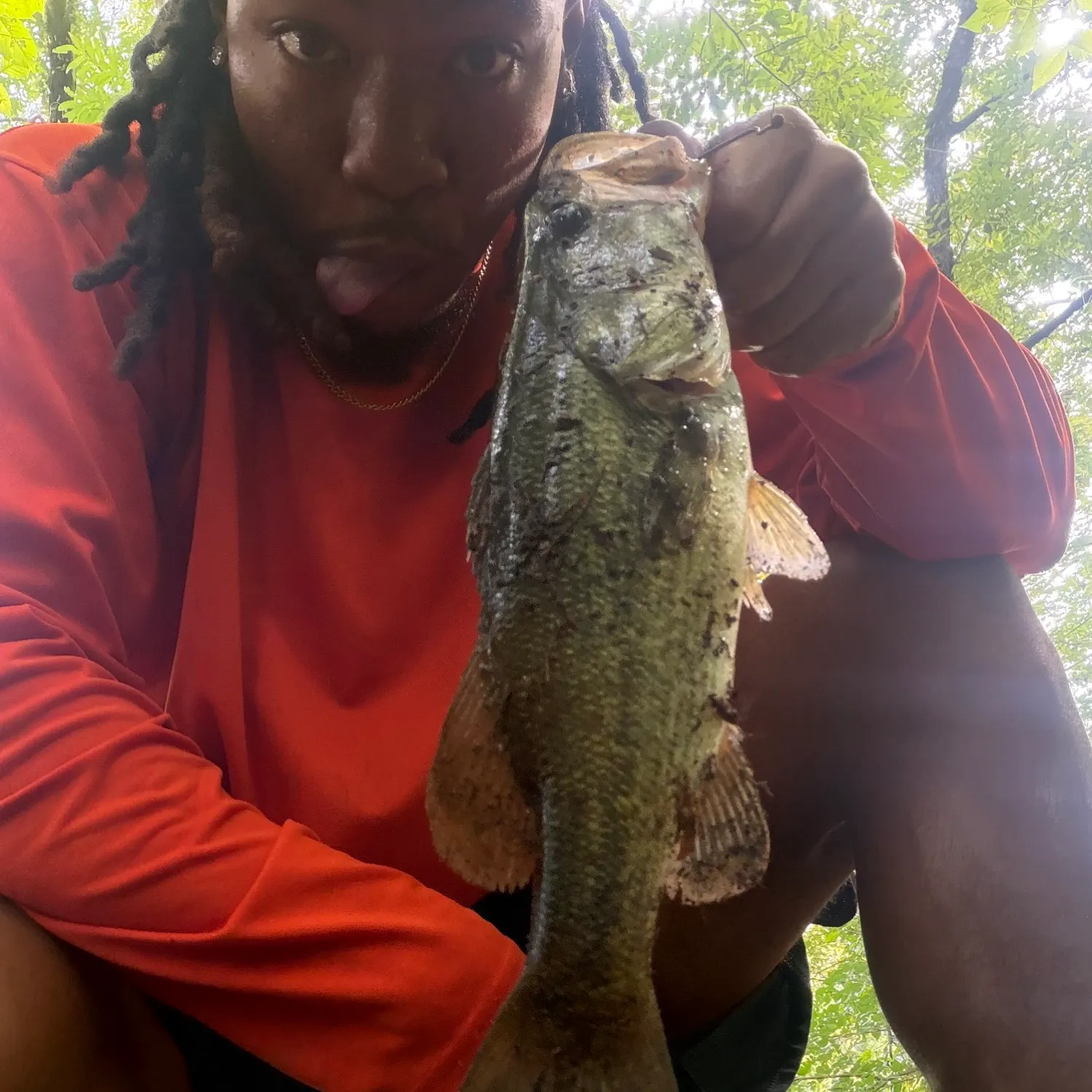Largemouth bass caught on Fishbrain