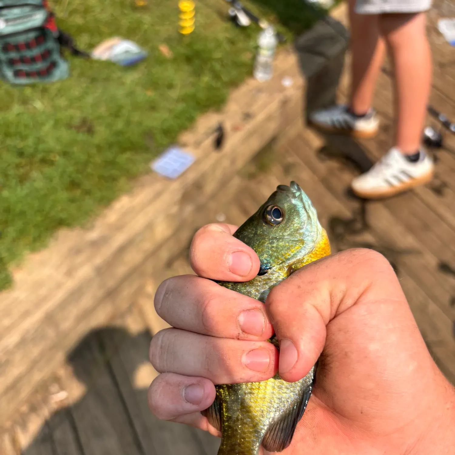 catch