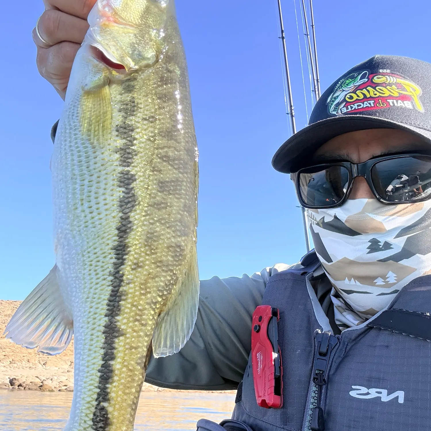 Spotted bass caught on Fishbrain