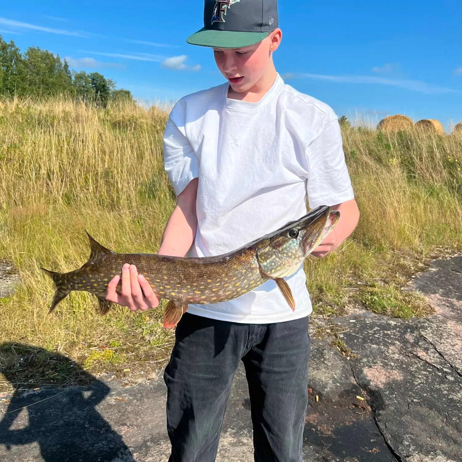Northern pike caught on Fishbrain