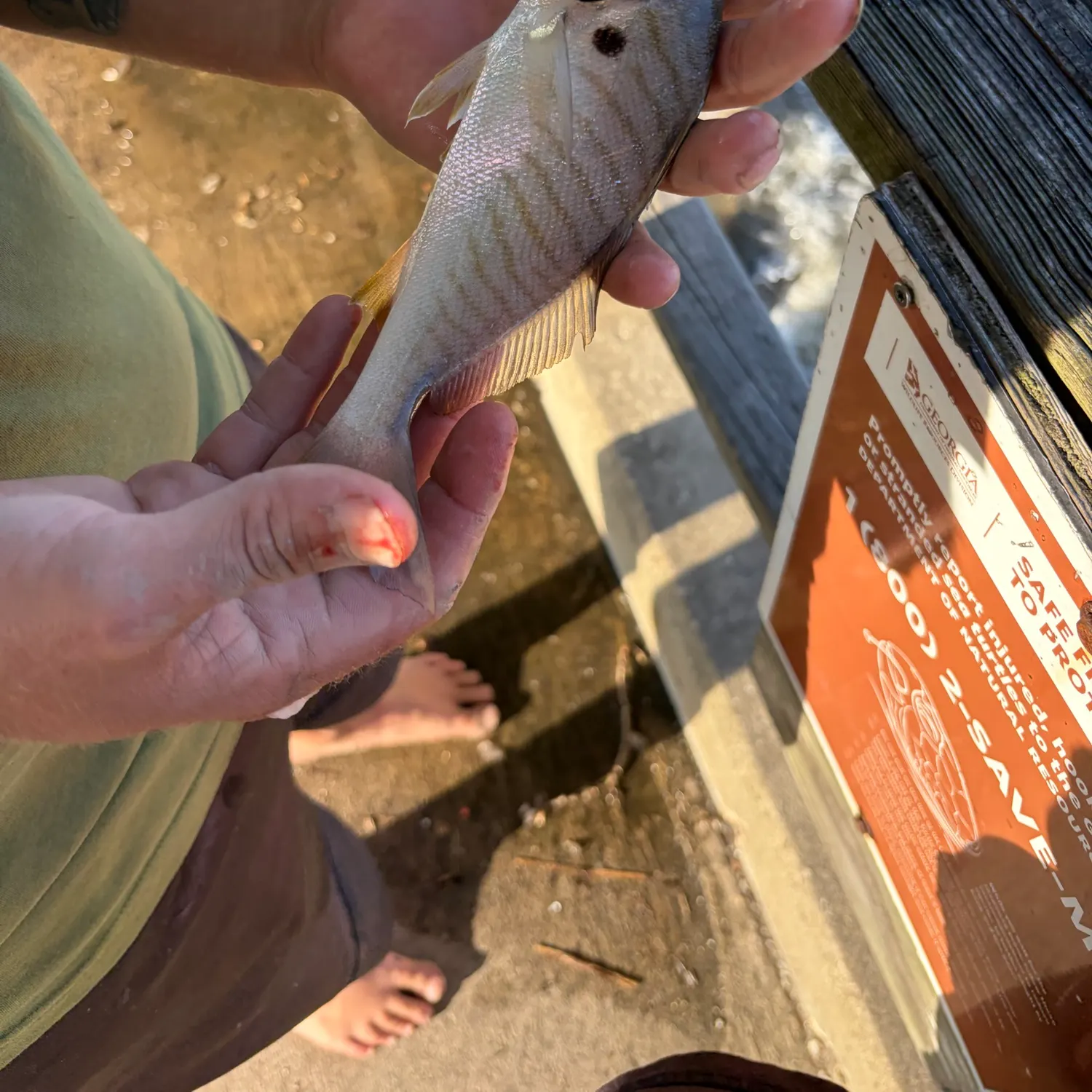catch